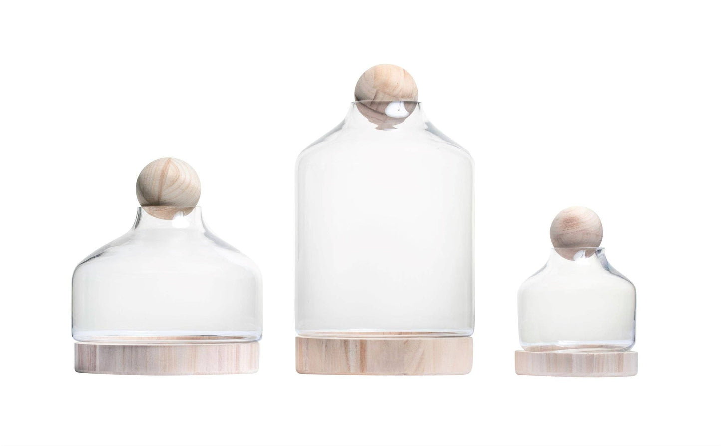 Chileno Collection Terrarium with Wood Topper