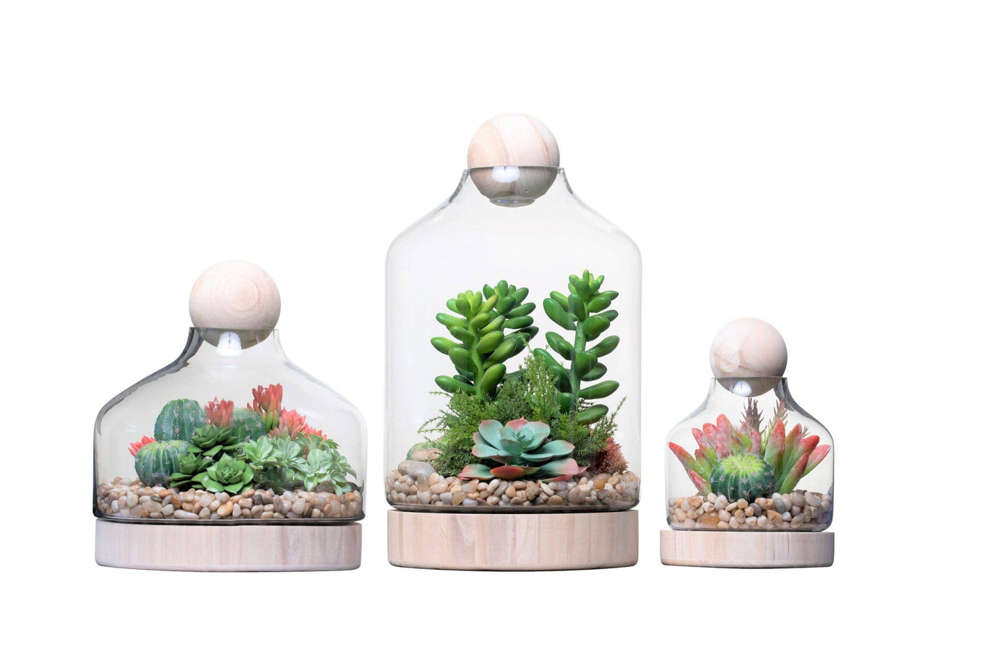 Chileno Collection Terrarium with Wood Topper